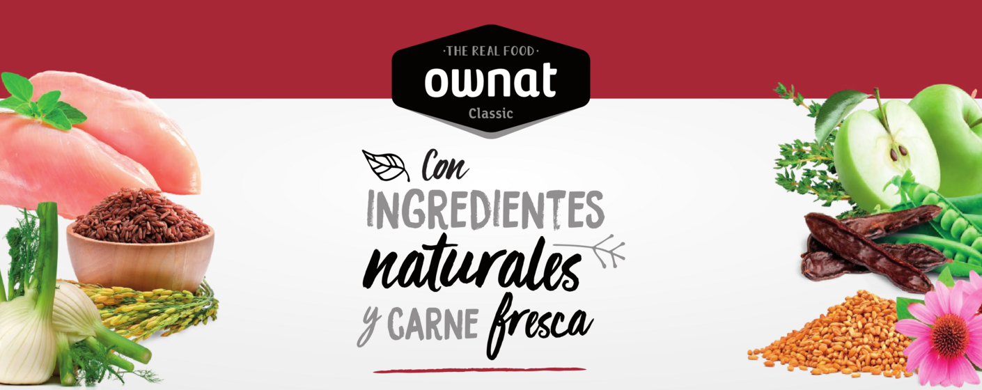 portada banner