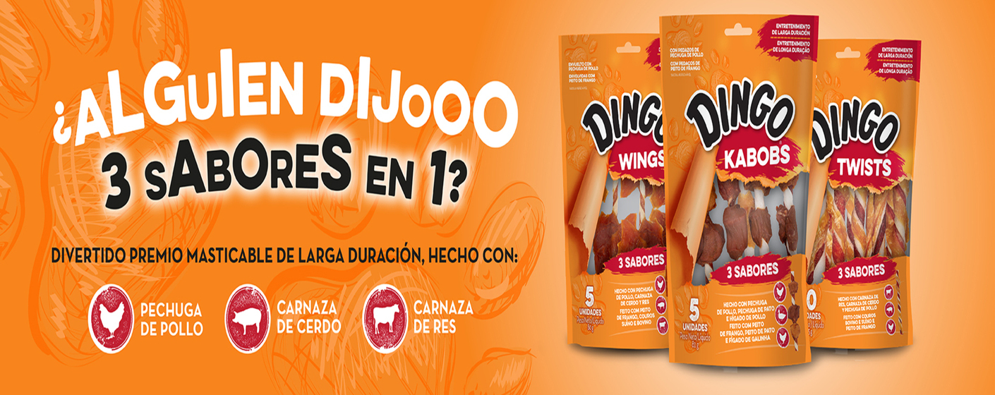 portada banner
