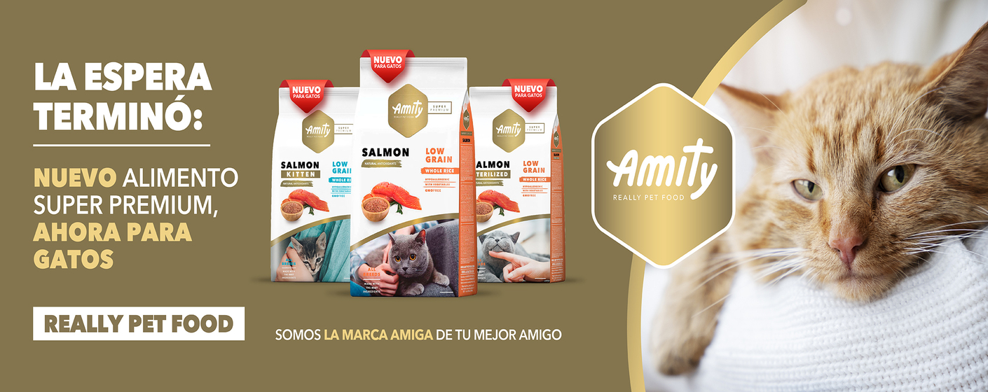 portada banner