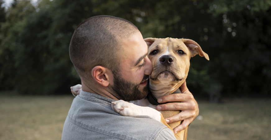 Responsables por cholito y todas nuestras mascotas ¿Cumples con una tenencia responsable? 