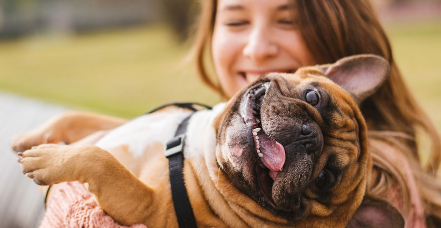 Reconoce un perro feliz